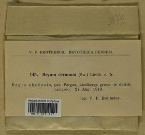 Ptychostomum compactum Hornsch., Bryophytes, Bryophytes - Western Europe (BEu) (Finland)