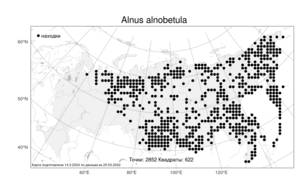Alnus alnobetula (Ehrh.) K.Koch, Atlas of the Russian Flora (FLORUS) (Russia)
