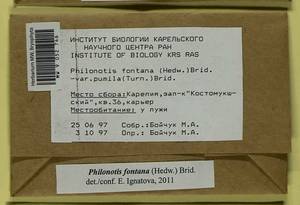 Philonotis fontana (Hedw.) Brid., Bryophytes, Bryophytes - Karelia, Leningrad & Murmansk Oblasts (B4) (Russia)