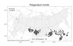 Polygonatum humile Fisch. ex Maxim., Atlas of the Russian Flora (FLORUS) (Russia)