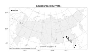 Saussurea recurvata (Maxim.) Lipsch., Atlas of the Russian Flora (FLORUS) (Russia)