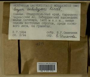 Rosulabryum moravicum (Podp.) Ochyra & Stebel, Bryophytes, Bryophytes - North Caucasus & Ciscaucasia (B12) (Russia)