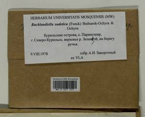 Bucklandiella sudetica (Funck) Bedn.-Ochyra & Ochyra, Bryophytes, Bryophytes - Russian Far East (excl. Chukotka & Kamchatka) (B20) (Russia)