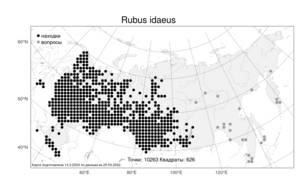 Rubus idaeus L., Atlas of the Russian Flora (FLORUS) (Russia)