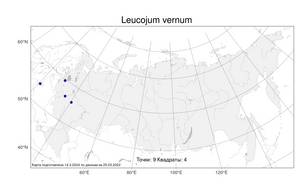 Leucojum vernum L., Atlas of the Russian Flora (FLORUS) (Russia)