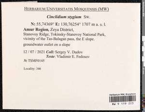 Cinclidium stygium Sw., Bryophytes, Bryophytes - Russian Far East (excl. Chukotka & Kamchatka) (B20) (Russia)