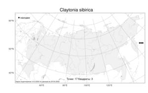 Claytonia sibirica L., Atlas of the Russian Flora (FLORUS) (Russia)