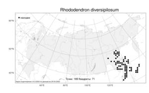 Rhododendron diversipilosum (Nakai) Harmaja, Atlas of the Russian Flora (FLORUS) (Russia)