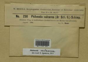 Philonotis calcarea (Bruch & Schimp.) Schimp., Bryophytes, Bryophytes - Western Europe (BEu) (Czech Republic)