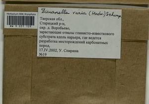 Dicranella varia (Hedw.) Schimp., Bryophytes, Bryophytes - Middle Russia (B6) (Russia)