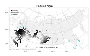 Populus nigra L., Atlas of the Russian Flora (FLORUS) (Russia)