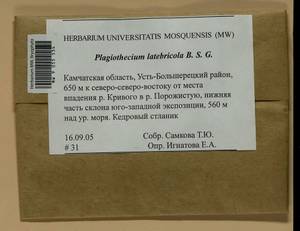 Plagiothecium latebricola Schimp., Bryophytes, Bryophytes - Chukotka & Kamchatka (B21) (Russia)