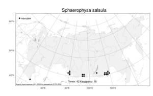 Sphaerophysa salsula (Pall.) DC., Atlas of the Russian Flora (FLORUS) (Russia)