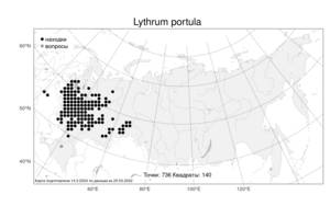 Lythrum portula (L.) D. A. Webb, Atlas of the Russian Flora (FLORUS) (Russia)