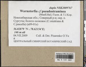 Warnstorfia pseudostraminea (Müll. Hal.) Tuom. & T.J. Kop., Bryophytes, Bryophytes - Western Siberia (including Altai) (B15) (Russia)