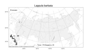 Lappula barbata (M. Bieb.) Gürke, Atlas of the Russian Flora (FLORUS) (Russia)