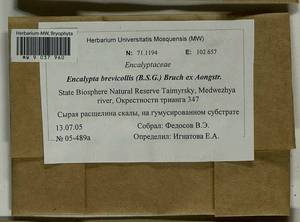 Encalypta brevicolla (Bruch & Schimp.) Ångstr., Bryophytes, Bryophytes - Krasnoyarsk Krai, Tyva & Khakassia (B17) (Russia)