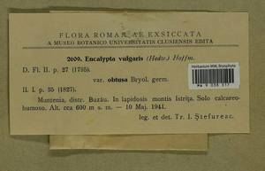 Encalypta vulgaris Hedw., Bryophytes, Bryophytes - Western Europe (BEu) (Romania)