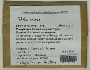 Plagiothecium laetum Schimp., Bryophytes, Bryophytes - European North East (B7) (Russia)