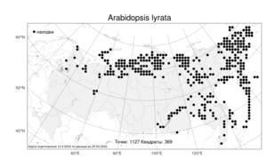 Arabidopsis lyrata (L.) O'Kane & Al-Shehbaz, Atlas of the Russian Flora (FLORUS) (Russia)