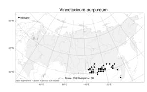 Vincetoxicum purpureum (Pall.) Kuntze, Atlas of the Russian Flora (FLORUS) (Russia)