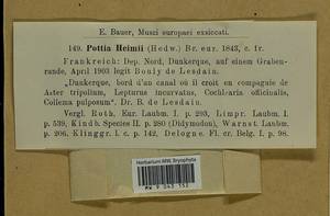 Hennediella heimii (Hedw.) R.H. Zander, Bryophytes, Bryophytes - Western Europe (BEu) (France)