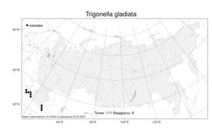 Trigonella gladiata Steven ex M.Bieb., Atlas of the Russian Flora (FLORUS) (Russia)