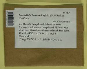 Iwatsukiella leucotricha (Mitt.) W.R. Buck & H.A. Crum, Bryophytes, Bryophytes - Russian Far East (excl. Chukotka & Kamchatka) (B20) (Russia)