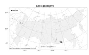 Salix gordejevii Y. L. Chang & A. K. Skvortsov, Atlas of the Russian Flora (FLORUS) (Russia)