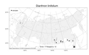 Diarthron linifolium Turcz., Atlas of the Russian Flora (FLORUS) (Russia)