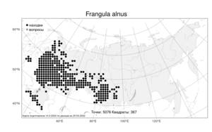 Frangula alnus Mill., Atlas of the Russian Flora (FLORUS) (Russia)