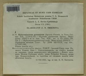 Hylocomiastrum pyrenaicum (Spruce) M. Fleisch. ex Broth., Bryophytes, Bryophytes - Permsky Krai, Udmurt Republic, Sverdlovsk & Kirov Oblasts (B8) (Russia)