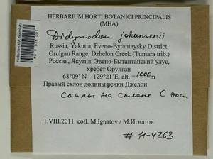 Husnotiella johansenii (R.S. Williams) J.A. Jiménez & M.J. Cano, Bryophytes, Bryophytes - Yakutia (B19) (Russia)