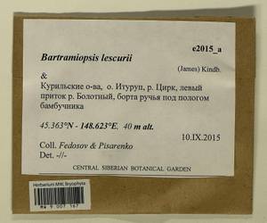 Bartramiopsis lescurii (James) Kindb., Bryophytes, Bryophytes - Russian Far East (excl. Chukotka & Kamchatka) (B20) (Russia)