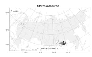 Stevenia dahurica (Peschkova) D. A. German & Al-Shehbaz, Atlas of the Russian Flora (FLORUS) (Russia)