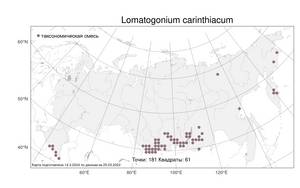 Lomatogonium carinthiacum (Wulfen) Rchb., Atlas of the Russian Flora (FLORUS) (Russia)