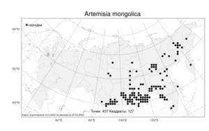 Artemisia mongolica (Fisch. ex Besser) Nakai, Atlas of the Russian Flora (FLORUS) (Russia)