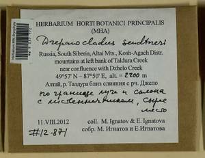 Drepanocladus sendtneri (Schimp. ex H. Müll.) Warnst., Bryophytes, Bryophytes - Western Siberia (including Altai) (B15) (Russia)