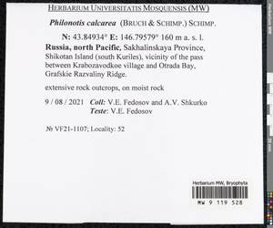 Philonotis calcarea (Bruch & Schimp.) Schimp., Bryophytes, Bryophytes - Russian Far East (excl. Chukotka & Kamchatka) (B20) (Russia)
