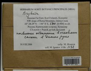 Bryhnia, Bryophytes, Bryophytes - Russian Far East (excl. Chukotka & Kamchatka) (B20) (Russia)