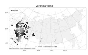 Veronica verna L., Atlas of the Russian Flora (FLORUS) (Russia)