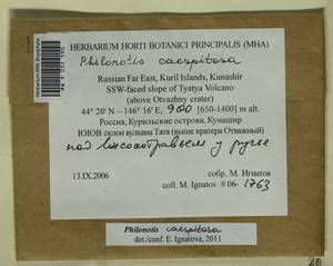 Philonotis americana Dism., Bryophytes, Bryophytes - Russian Far East (excl. Chukotka & Kamchatka) (B20) (Russia)