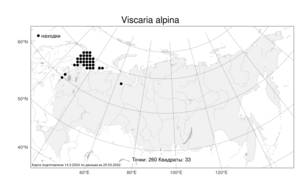 Viscaria alpina (L.) G. Don, Atlas of the Russian Flora (FLORUS) (Russia)