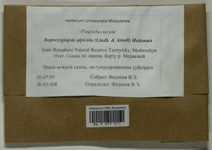 Isopterygiella alpicola (Lindb.) Ignatov & Ignatova, Bryophytes, Bryophytes - Krasnoyarsk Krai, Tyva & Khakassia (B17) (Russia)