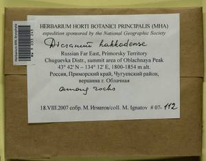 Dicranum viride var. hakkodense (Cardot) Takaki, Bryophytes, Bryophytes - Russian Far East (excl. Chukotka & Kamchatka) (B20) (Russia)