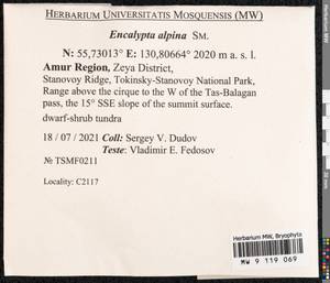 Encalypta alpina Sm., Bryophytes, Bryophytes - Russian Far East (excl. Chukotka & Kamchatka) (B20) (Russia)