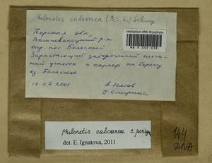 Philonotis calcarea (Bruch & Schimp.) Schimp., Bryophytes, Bryophytes - Middle Russia (B6) (Russia)