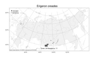 Erigeron oreades (Schrenk) Fisch. & C. A. Mey., Atlas of the Russian Flora (FLORUS) (Russia)