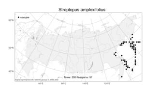Streptopus amplexifolius (L.) DC., Atlas of the Russian Flora (FLORUS) (Russia)
