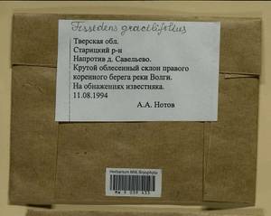 Fissidens gracilifolius Brugg.-Nann. & Nyholm, Bryophytes, Bryophytes - Middle Russia (B6) (Russia)